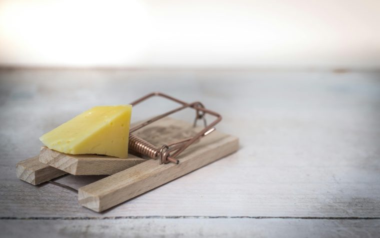 Close-up of a wooden mousetrap with a piece of cheese on a rustic table surface. Gros plan d'une souricière en bois avec un morceau de fromage sur une surface de table rustique.
