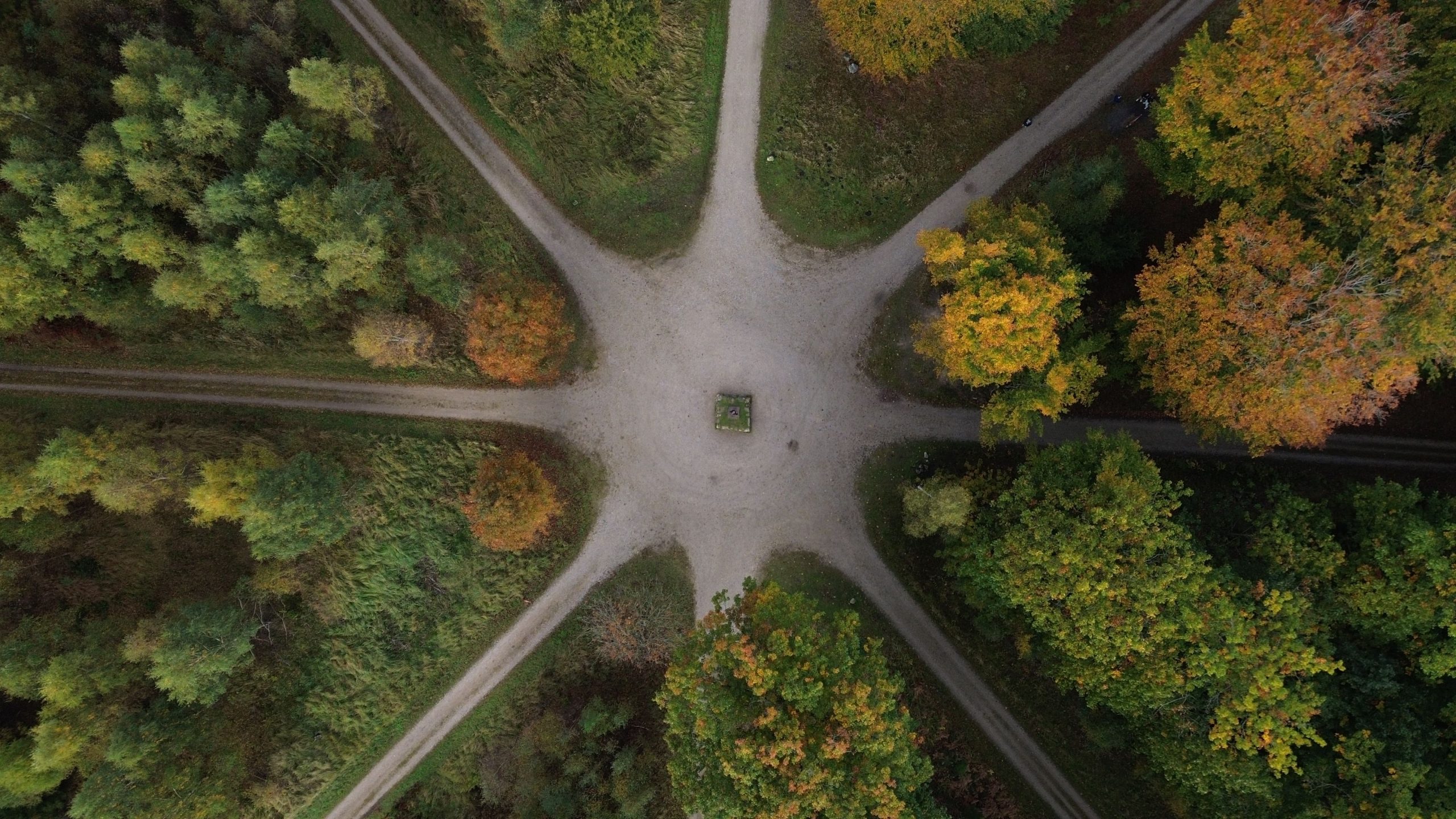 Vue aérienne sentier forêt automne carrefour
